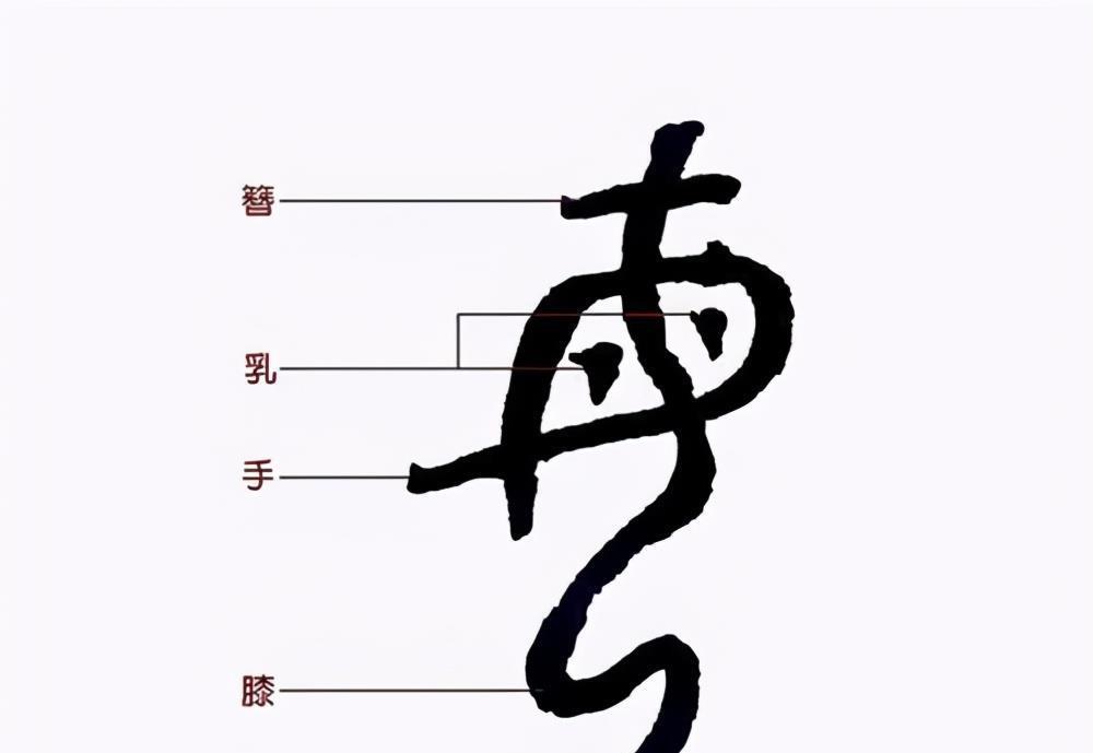 母亲如此伟大,为何"毒"里却有个"母"字?这两字有什么关联?