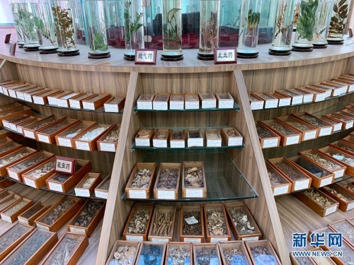 云南省中医药民族医药博物馆内的《神农本草经》标本展厅.