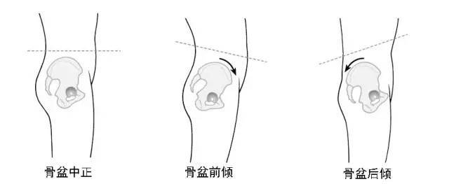 练瑜伽,正位很重要,附26个瑜伽体式正位图!