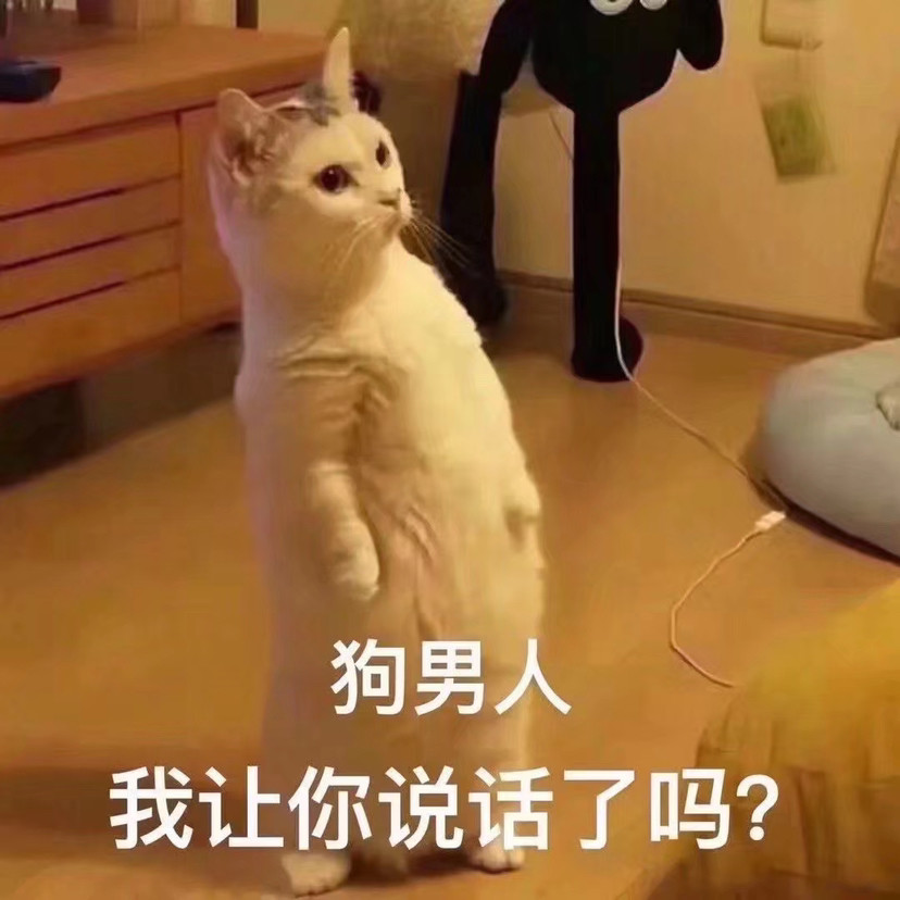 美女专用表情包
