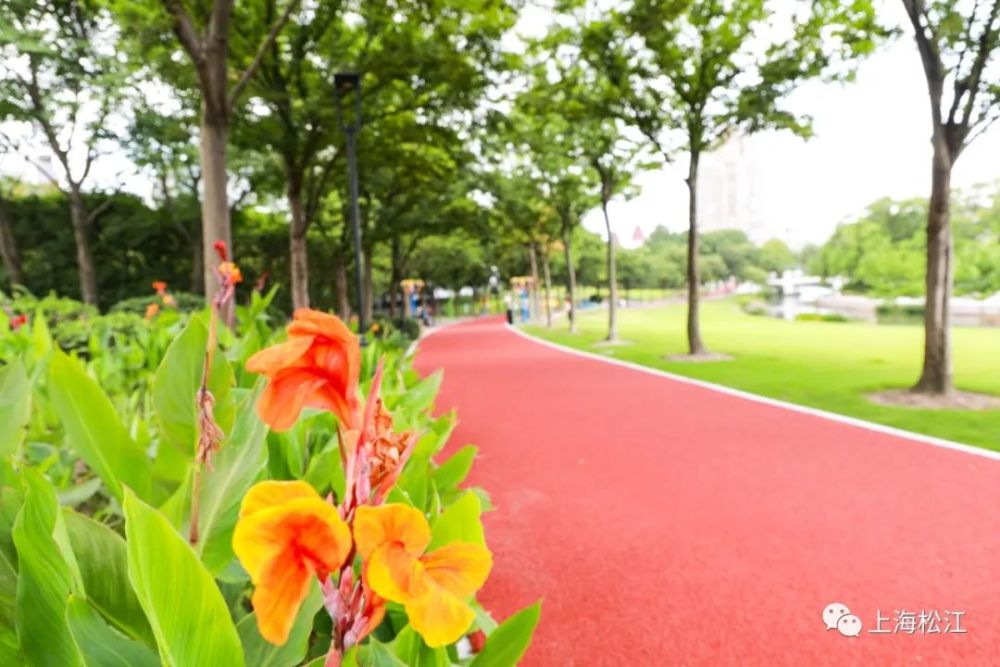 包括方松文化活动中心市民健身步道,新桥镇体育公园健身步道等