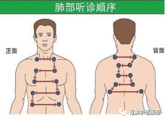 2.听 肺部.