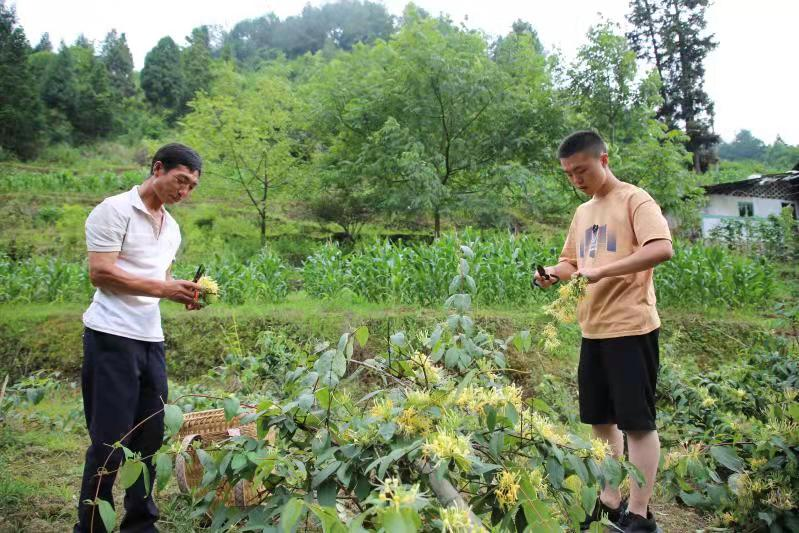 贵州绥阳学子"罗炫煜"圆梦清华大学!