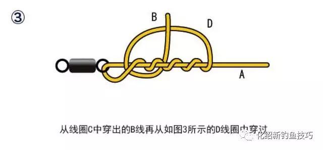 八字环的几种绑法图解,钓鱼必会!
