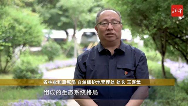 省林业和草原局 自然保护地管理处 处长 王喜武"辽