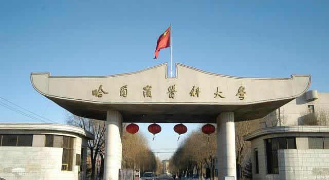 黑龙江省10所大学名校,9所都在哈尔滨市,1所在大庆