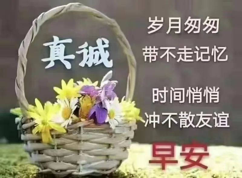 8月你好动态图问候祝福语简短句子 八月最新早上好正能量带字图片说说