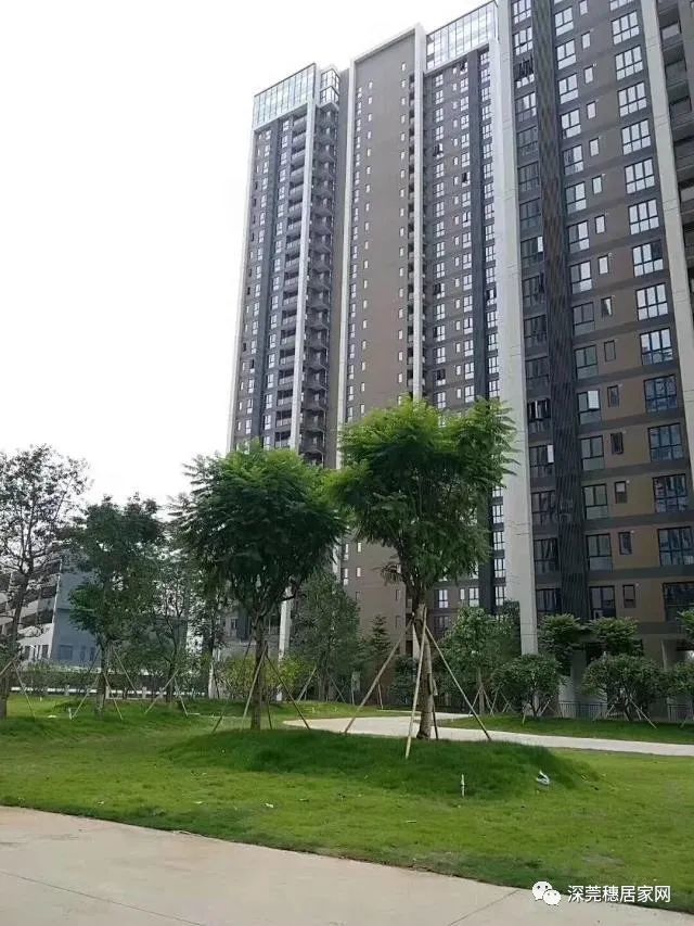 深圳小产权房政策2023年（深圳小产权房归宿终将如何？能否转正？购买小产权房承担什么险？）