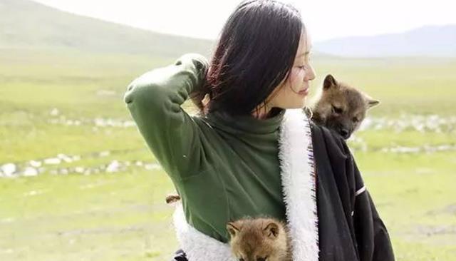 11年前,四川女孩李微漪,把1匹狼当 儿子 对待,后怎么样了