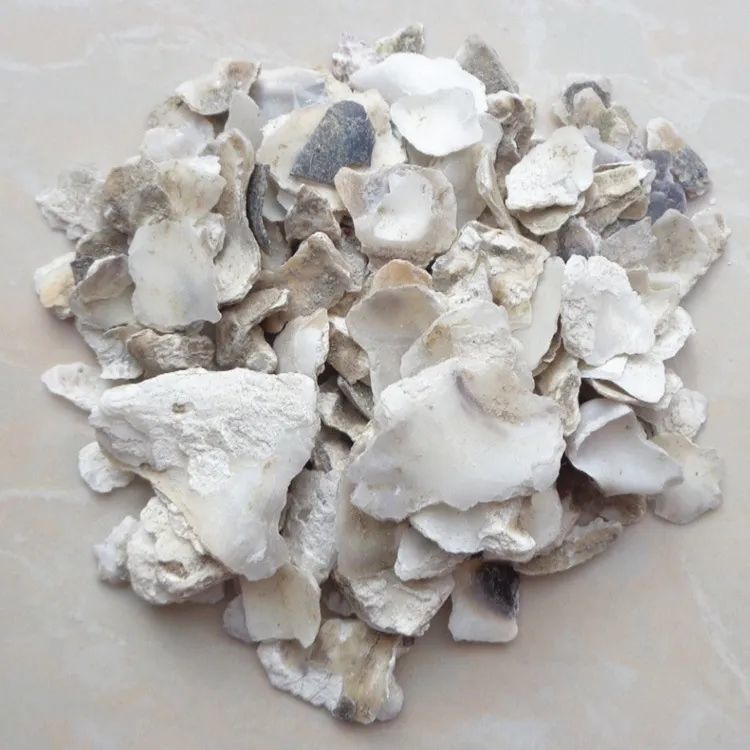 牡蛎中药饮片 中药牡蛎,特指牡蛎科动物的贝壳.