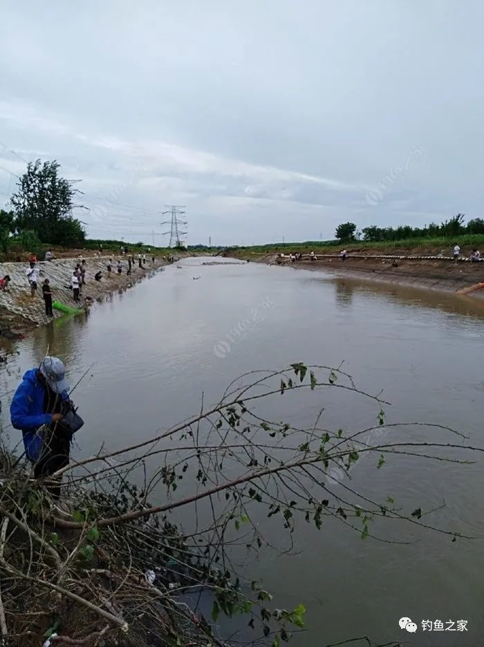 野河沟,经过前几天的大雨加上上游水库的泄洪,成了众多钓鱼人的聚集地