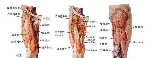 明白延迟性肌肉酸痛 正确的rb选择=虐腿成功