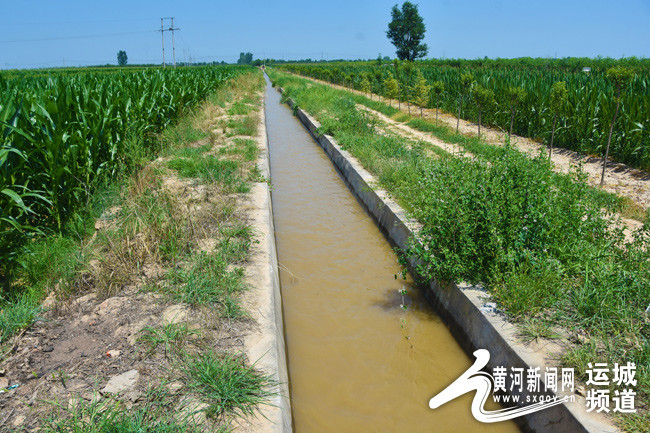 运城尊村引黄:5000亩水稻喜迎黄河水