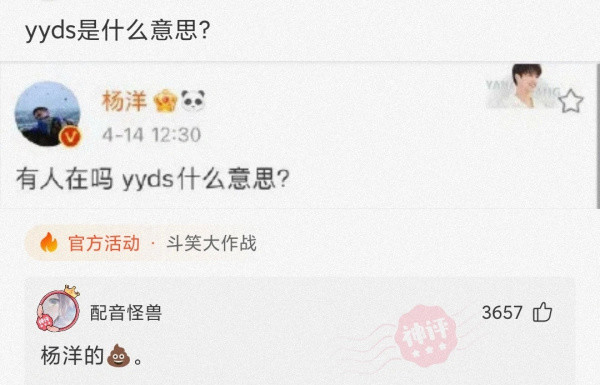 神回复:yyds是什么意思?