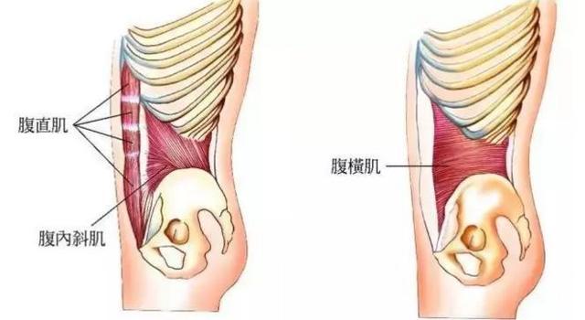 大肚皮变6块腹肌就这么练