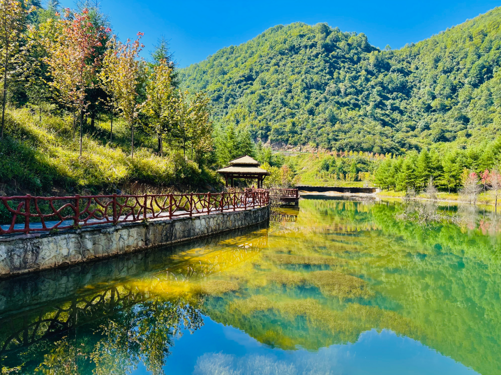 巫溪红池坝景区邀您来避暑纳凉