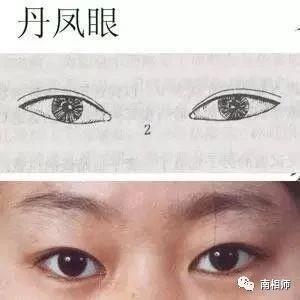 什么样的眼睛勾人?|南相师聊面相