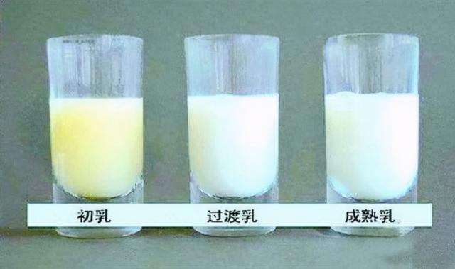 母乳颜色白说明质量低宝宝口粮色彩变化有规律家长要了解