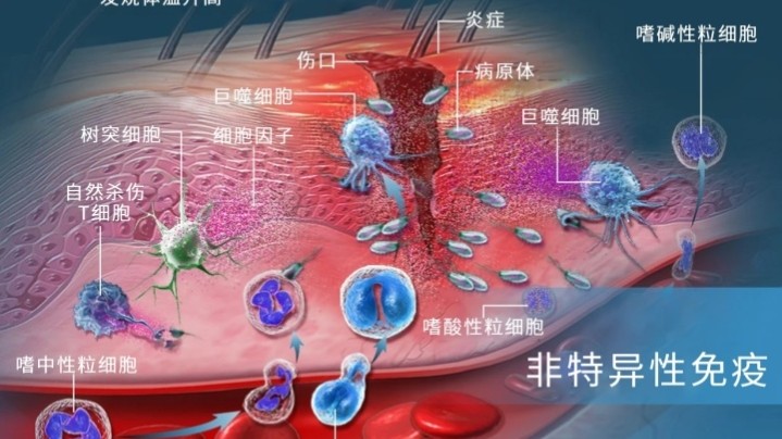 德尔塔病毒,是否有天敌?