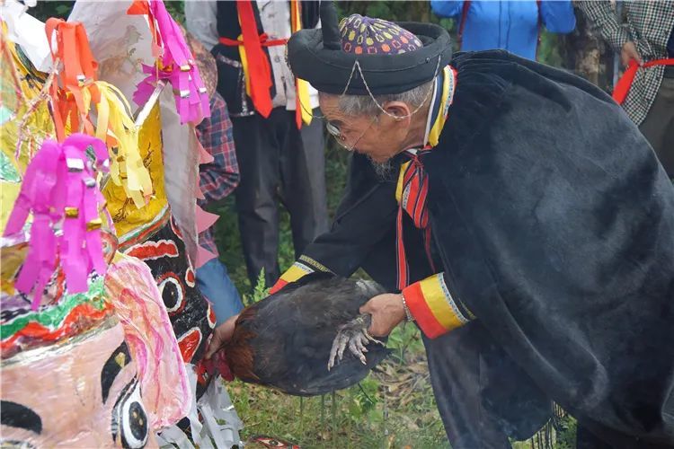 在山神树面前的祭祀(2016年7月28日下午摄于禄丰县高峰乡大花箐村,江