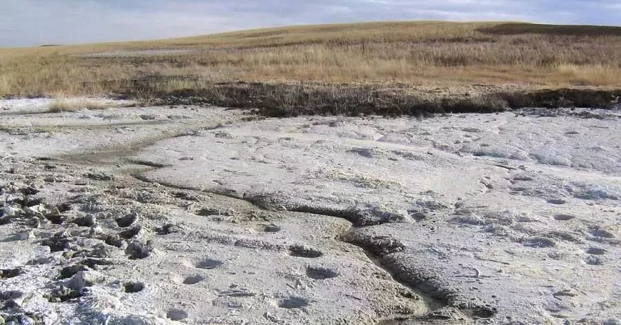新疆土壤盐碱化严重