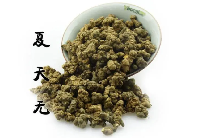 一到夏天就消失的中药夏天无