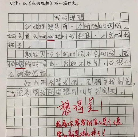 小学生作文《我的理想》获满分,老师评语亮了:注意你的同桌