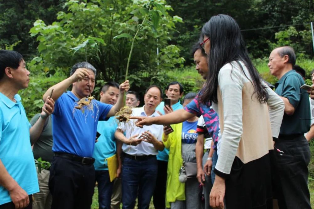 资料来源:厅农村处,省科技宣传教育中心 撰稿:杨博雅 编辑:杜泓儿 免