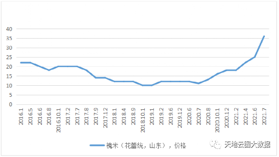 中药原料评测∣国内槐花需求减少,价格为何快速上涨?