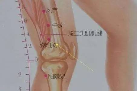 膝阳关穴,原名阳关,出自《针灸甲乙经》《千金要方》中将其称为关阳