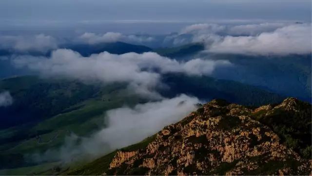 【大美兴安】老头山:大自然恩赐的"天然氧吧"