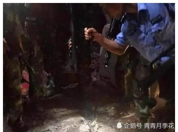 回顾陕西杀人犯龙治民:内心扭曲,杀人如麻,48具尸体上种菜