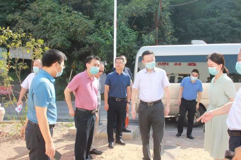 巴南区政府区长何友生调研林长制和森林防火工作要求