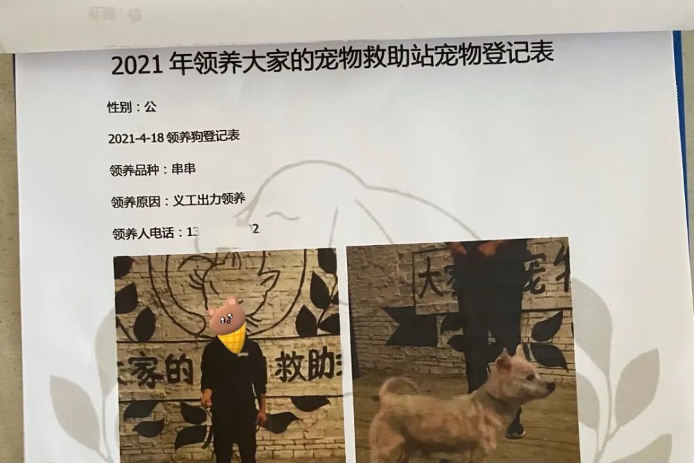 救了就停不下来!探访湛江流浪猫狗救助站