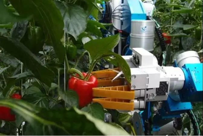 在国外,采摘机器人的使用也成为智慧农业的得力助手.
