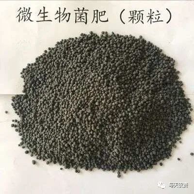 农资行业水最深的坑是什么?是微生物菌肥!