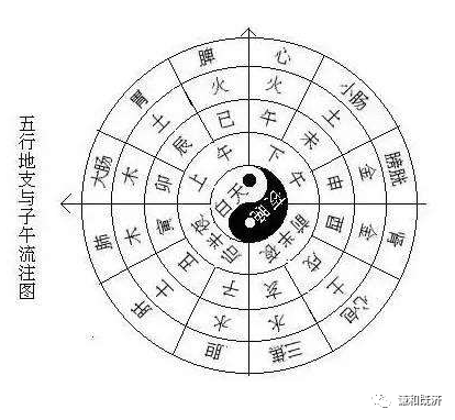 人体五脏六腑十二经络的干支八卦五行属性,以及它们的