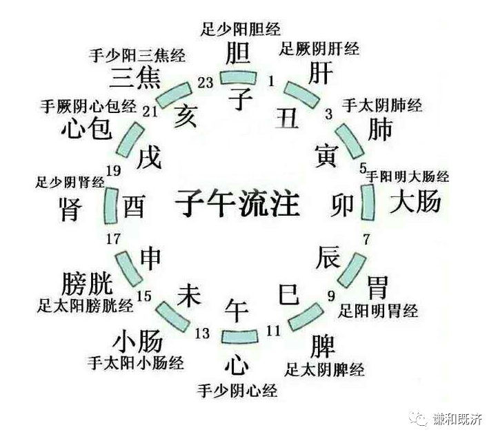 (十二时辰子午流注)子:胆经所主,活跃阶段.