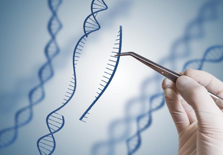 基因测序新冠病毒溯源的亲子鉴定