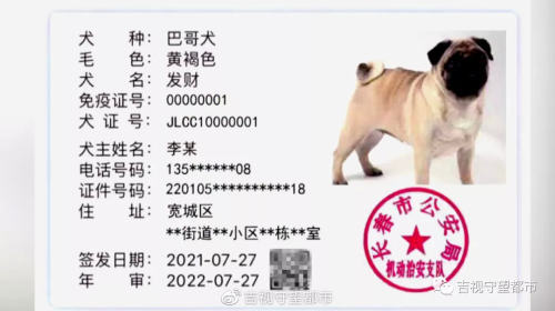 8月起《长春市养犬管理条例》实施,附《养犬证》网上