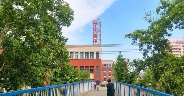 西安这所附属中学,87名学生考入清华北大,学习不好花钱也进不去