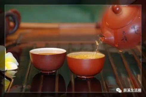 辰溪的茶,何时才能赶超沅陵偈滩茶,安化的黑茶?