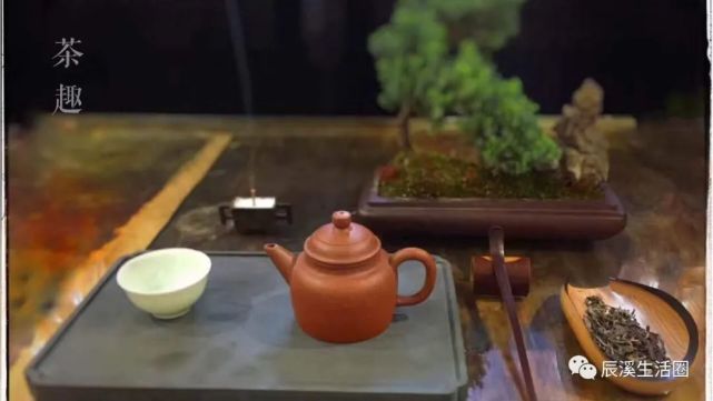 辰溪的茶,何时才能赶超沅陵偈滩茶,安化的黑茶?