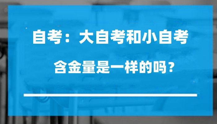 大自考和小自考 哪个更好一些?都认可吗?