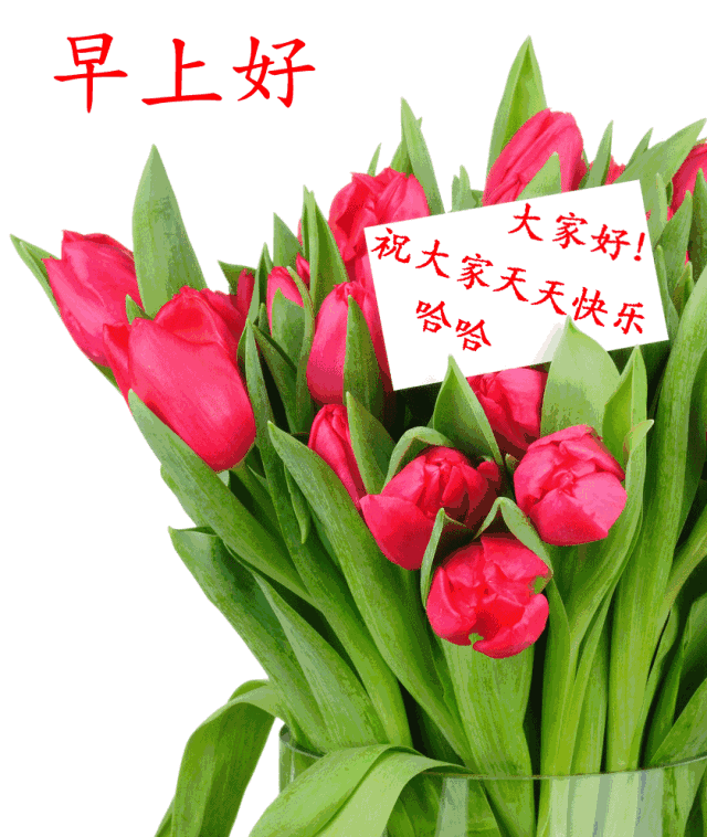 早上好朋友,最新早安问候语图片动态 2021最美早上好问候图片带字
