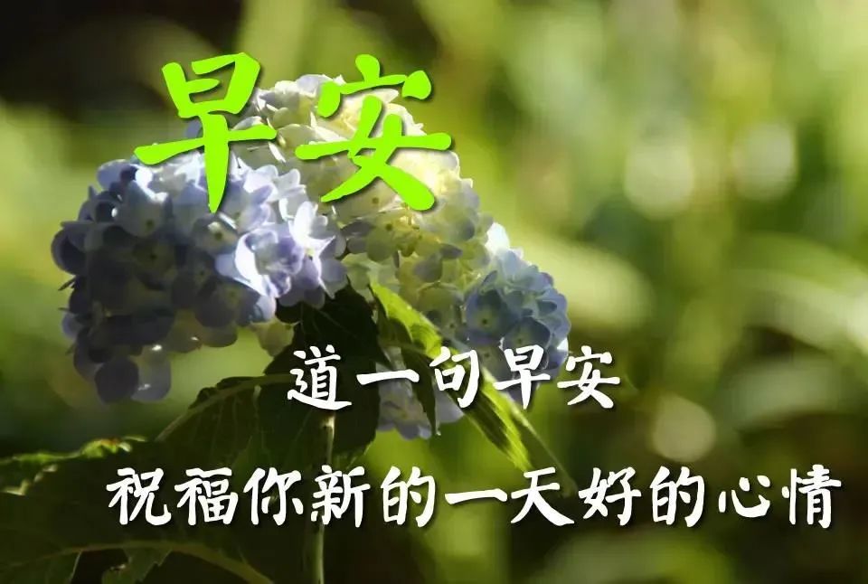 2021年8月10日末伏节气最漂亮早上好问候动态表情图片