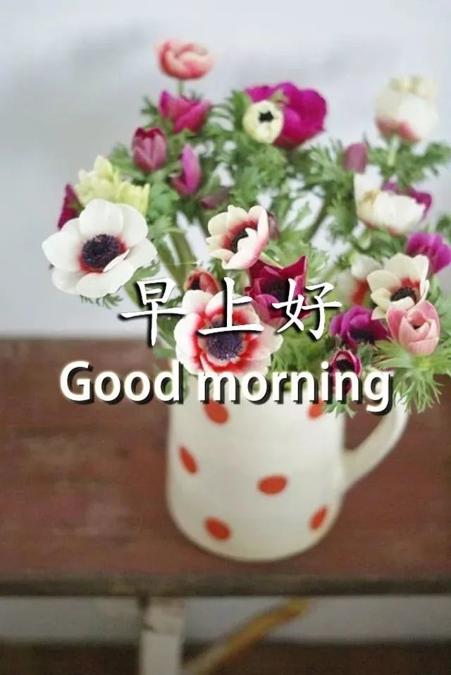 8月份最新版漂亮早安图片鲜花带字 最美早上好问候语