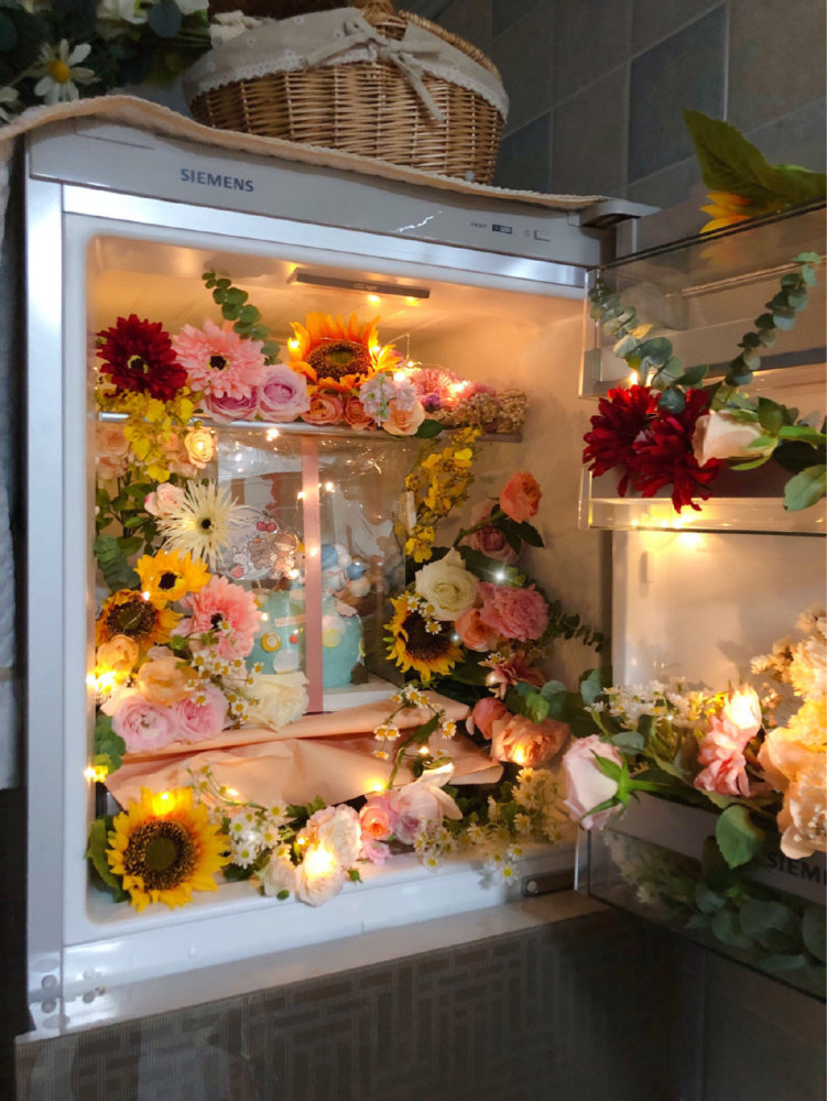 背景图丨冰箱是生活,鲜花是浪漫.