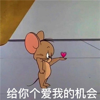 表情包:老鼠jerry表情包带字搞笑 给你个爱我的机会