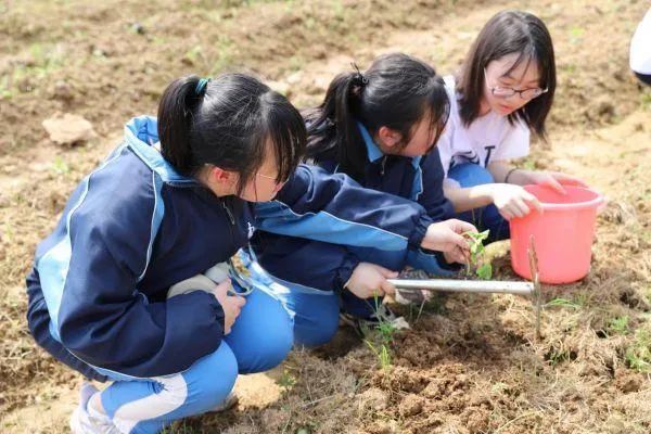 为指导学校更好地落实上述意见,教育部研制印发了《大中小学劳动教育